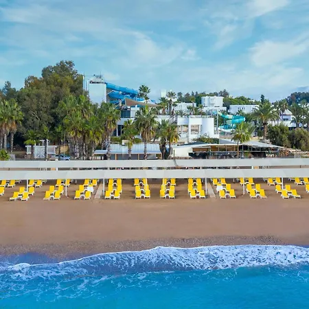 Asteria Collection 시데