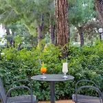 Hotel Asteria Collection